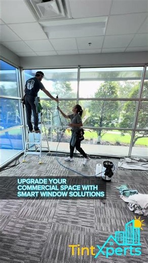 Privacy Meets Daylight ✨| Orlando’s Office Architectural Frost Window Film by TintXperts