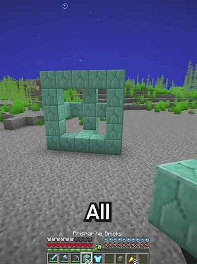 Exploring the Minecraft Community and Daily Builds