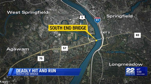 Springfield man charged in deadly hit-and-run crash