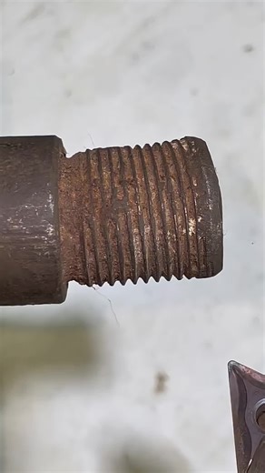 Exploring British and French Celebrity Cultures