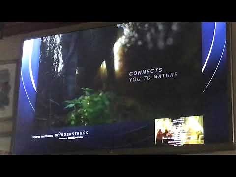 BBC America split screen credits (May 16, 2020)