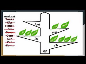1st Grade CKLA Skills - Unit 6 Lesson 1 Spelling Alternatives: Introduce /s/ › ‘c’