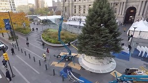 45K views · 457 reactions | Enjoy this time lapse of Philadelphia's Holiday Tree being installed at City Hall and join us for a magical night at 7:30 p.m. on 6abc and LIVE here on Facebook! 6abc.cm/2gGZzuN | 6abc Action News | Facebook