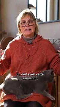 Découvrez l’univers d’Isabelle qui élève des chartreux 🐾 #royalcanin #chat #chartreux