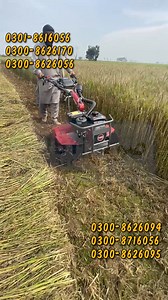 Mini Tiller Machine | Godi krny wali Machine | Mini Rotavator | #tillermachine #tiller #tiling #SobyAgroMachinery Contact for more information call/WhatsApp . UAN-0304-111-222-0 . https://wa.me/923008626170 . https://wa.me/923008626095 . https://wa.me/923018616056 . https://wa.me/923008626056 . https://wa.me/923008716056 . https://wa.me/923008626094 Visit Now: Soby Agro Machinery near WAPDA Office Circular Road Daska, Sialkot. 2nd Showroom Saggia Road Mehmood Butti Lahore Opp Fida Kanta | Soby A