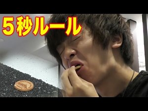 【3秒ルール】本当に床に食品が落ちても食べていいのか