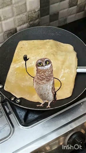 apt ptr owl funny dancing in making bread lpg gas 👻👻👻 #funny #comedy #shorts