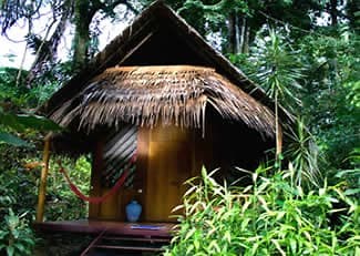 Best Hotels on the Caribbean Coast of Costa Rica: Eco-Lodges, Boutique Retreats, and More - Tico Travel