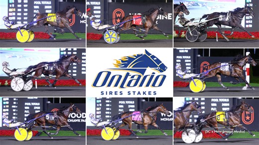 2024 Ontario Sires Stakes Grassroots Championships Complete