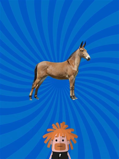 Engaging Quiz Game for Fun and Learning