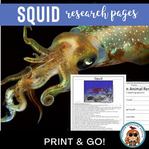 Ocean Animals Report SQUID informational article first grade second 3rd