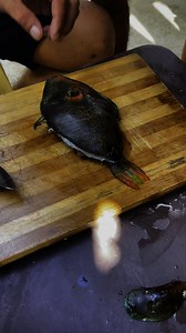 Pakol 🐟😮 | Team Arkangel