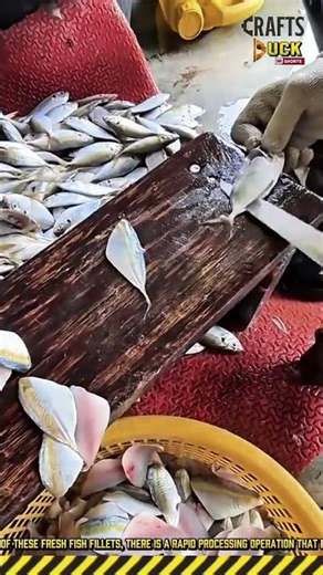 Fish Filleting Process: Precision Knife Cutting #dailywork #work #process #FishFillet