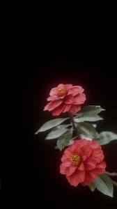 Nocturnal Bloom: Lily of the Valley, Sasanqua, Wisteria - Geometry Node Animation #geometrynodes