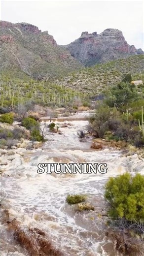 Is Tucson Actually Worth It? Honest Truth