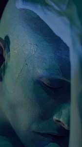 Free Close Up Videos: 4K & HD | No Watermark | Download Now