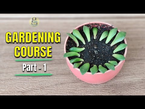 COMPLETE GARDENING COURSE – PART 1 | GARDENING FOR BEGINNERS | LEARN GARDENING