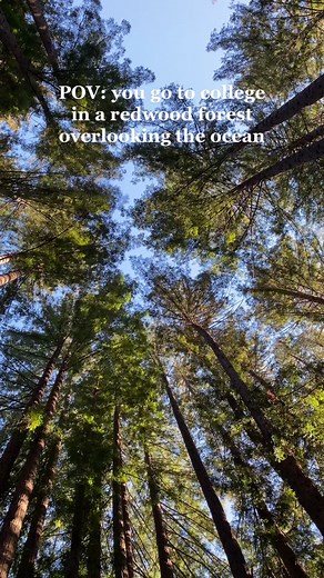 Explore UCSC: A Nature Retreat in Santa Cruz