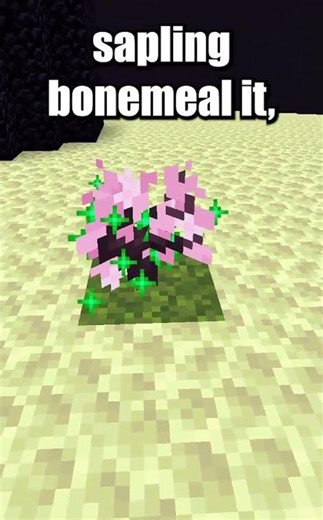 Can a tree grow in the end? 🤔 Minecraft #shorts