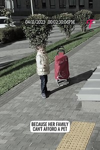 23K views · 112 reactions | She decided it would feel better in a dog shelter | Tips & Tricks | Facebook