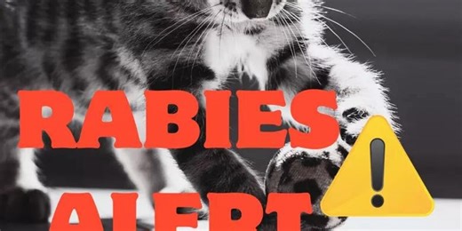 Marion County confirms second rabies case of 2026