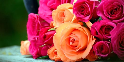 Deininger Floral Shop in Freeport permanently closes