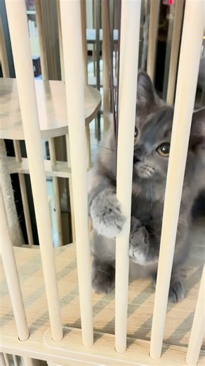 Cutest rope grab ever!