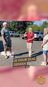 44K views · 544 reactions | 3 Tips on How to Deal with an...