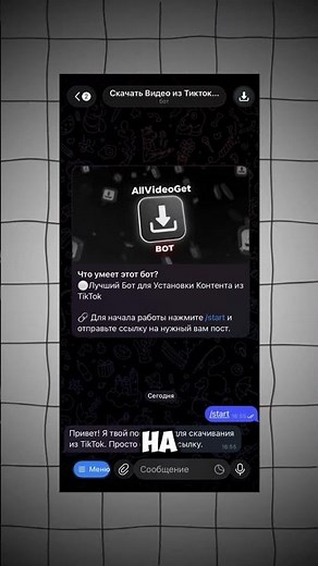 НЕ ЗНАЕШЬ КАК СКАЧАТЬ ВИДЕО ТИКТОК? ВОТ БЕСПЛАТНОЕ РЕШЕНИЕ!