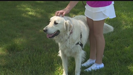 New Pa. law aims to better protect animals from abuse