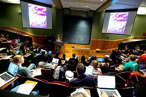 Education and innovation — Harvard Gazette