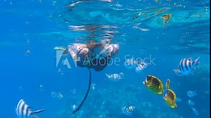 Slow motion. Woman in diving equipment swims on the surface of the water and looks at marine life. Female snorkeler swims underwater and looking at on tropical fishes floats nearby.