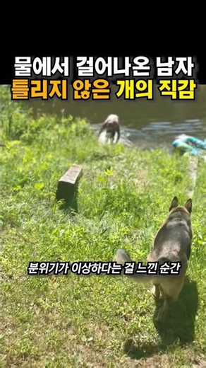 물에서 걸어나온 남자, 틀리지 않은 개의 직감 😭😭