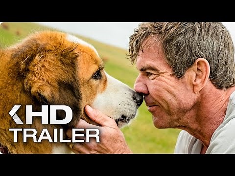 BAILEY - EIN FREUND FÜRS LEBEN Trailer German Deutsch (2017)