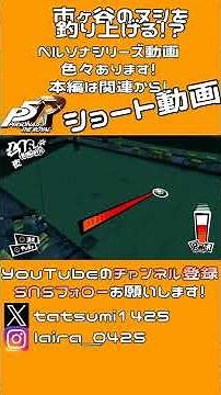 【大物】市ヶ谷のヌシを釣り上げる瞬間│ペルソナ5 ザ・ロイヤル #shorts ▼【実況プレイ/P5R攻略】【難易度CHALLENGE】