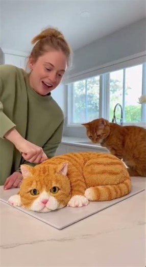 🤣She Cuts a Cat Cake — and the Real Cat Freaks Out! | ‘Calma, é só bolo!
