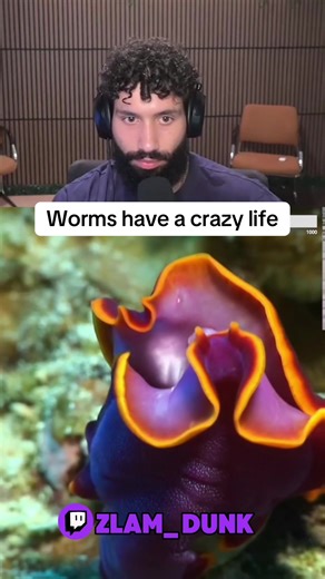 Worm Mating Battles: Exploring Unique Reproductive Traits