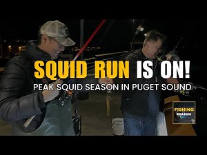 Squid Fishing in Puget Sound: When, Where & How to Catch Market Squid