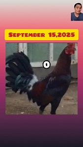 September 15,2025 Color Coding guidelines #Enped #colorcodingguidelines | Enped