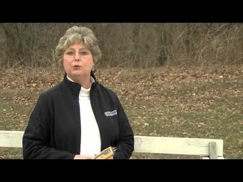 How to use a moisture meter