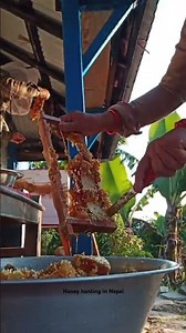 Honey hunting #nepal #honeyhunting #ytshorts #wintervibes #athome #traveling #funnyvideo