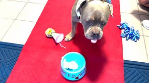 6.1K views | Collier County, Florida on Reels | Facebook