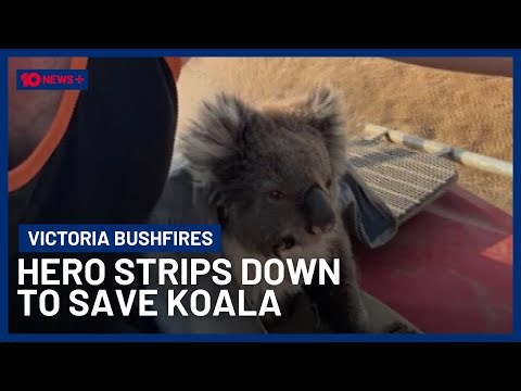 Hero Farmer Strips Down To Save Trapped Koala From Bushfire | 10 News+
