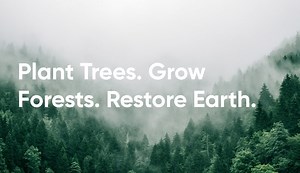 Let's plant together