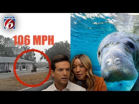 Frigid Temps in Florida Means Manatee Action! & Getting Caught Speeding 106 MPH?!