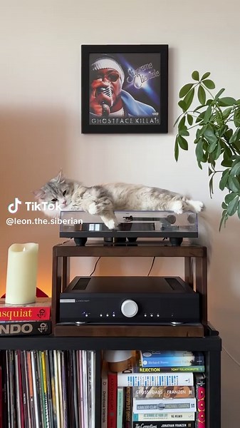 Exploring Ghostface Killah's Supreme Clientele Vinyl