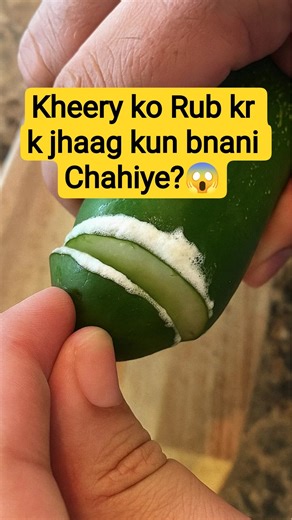 Kheery Ko Rub Kar K Jhag Kun Nikali Jati Ha?😱Cucumber Science Samjho|Cucurbitacin & Capillary Action