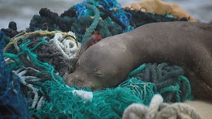 Expedition hauls 47 tons of plastic out of remote Hawaii atolls