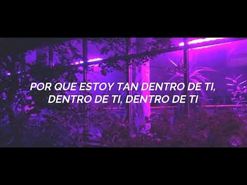 Ariana Grande - Into you ; Traducción en Español