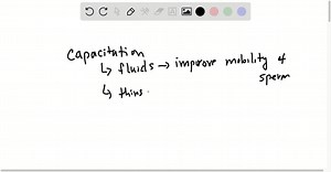 SOLVED:Darcy and Raul are having difficulty conceiving a child. Darcy ovulates every 28 days, and Raul's sperm count is normal. If we could observe Raul's sperm about an hour after ejaculation, however, we'd see that they appear to be moving only sluggishly. When Raul's sperm eventually encounter Darcy's oocyte, they appear to be incapable of generating an adequate acrosomal reaction. Which process has probably gone wrong?